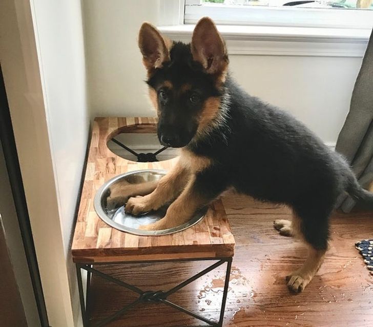 d4405a5c418c900c309307f02b