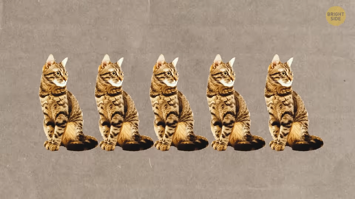 d4417e5b12a2e1e32626ca3e58