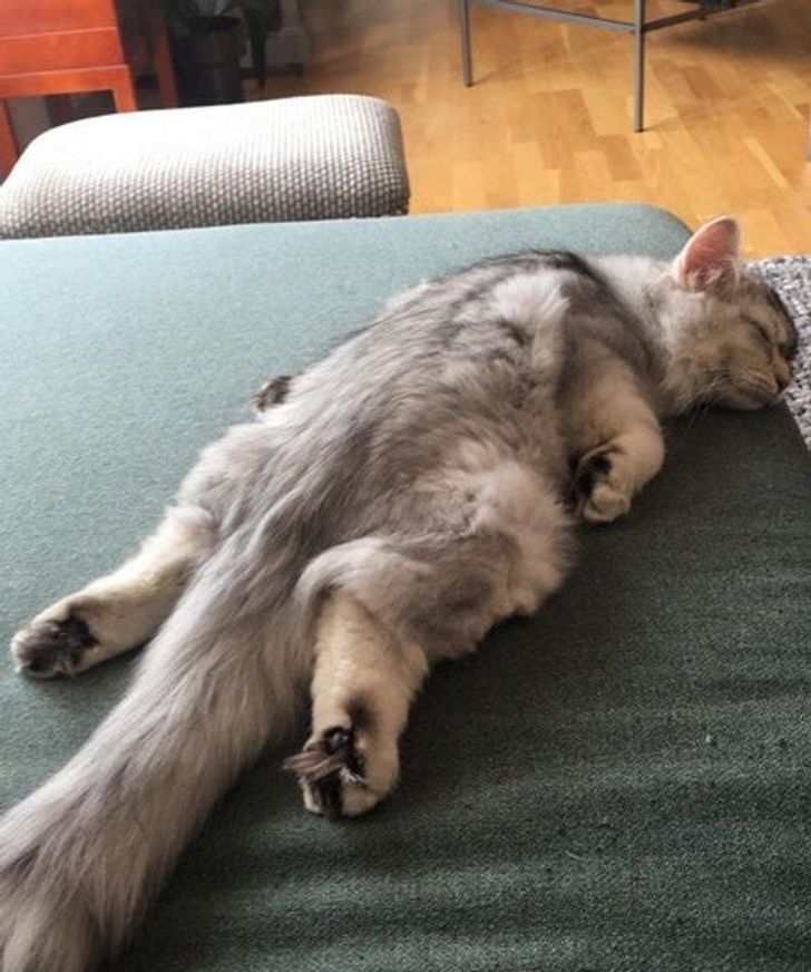 d4471c538d8e01f6cc9a0c4314