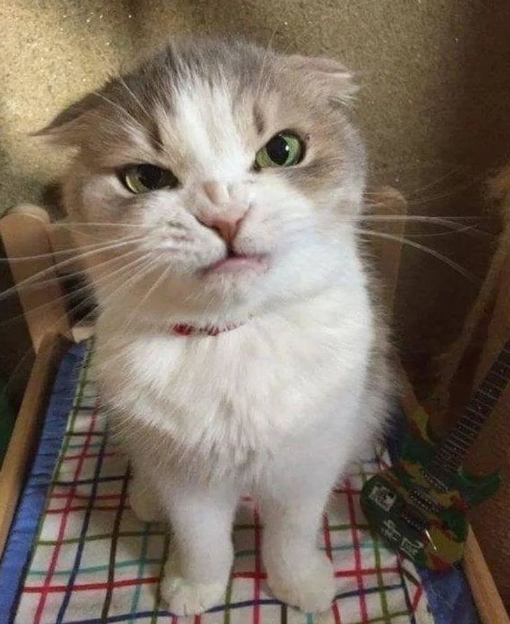 d44e065c69b69934bdbb320903