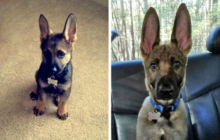 d454ca569f9212768120631d39