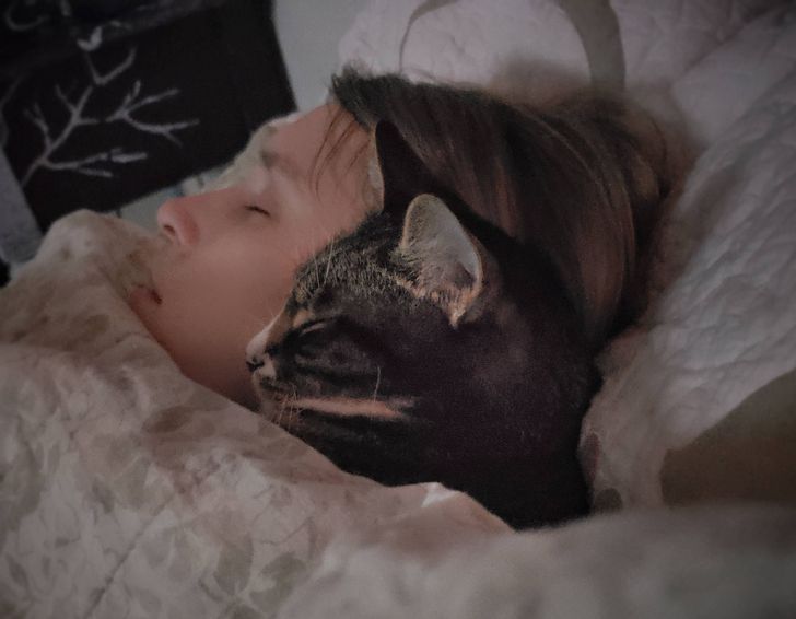 d455c356e19a15976b79a7a78f