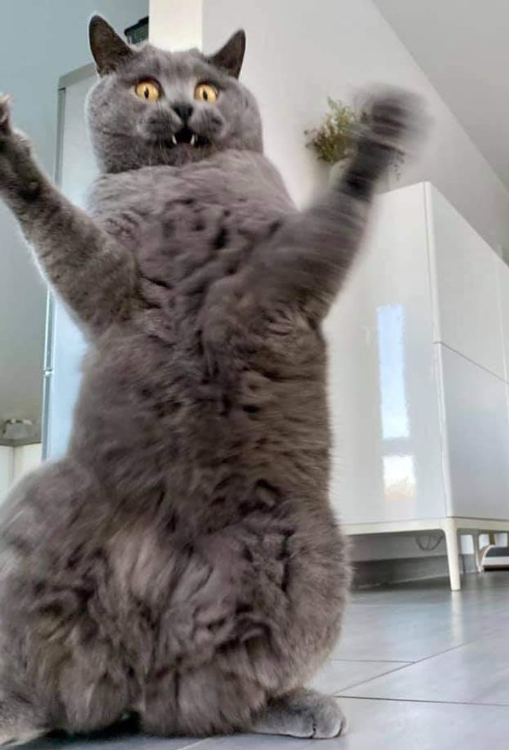 d456ba53a8a6608289704379f3