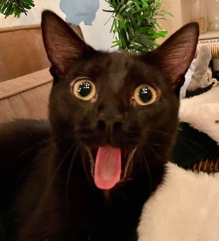 d45d945a3cab9a231652db526b