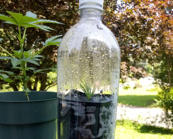 d45f5756dab8ed1cb1be4e637e