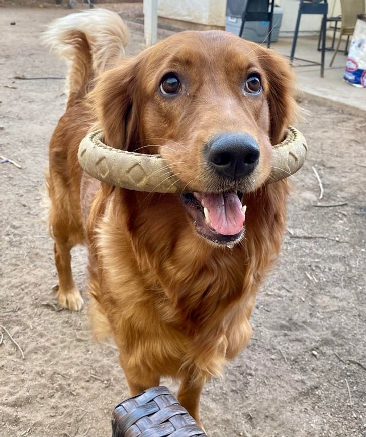 d463c45c249b4703b7bfad62f5