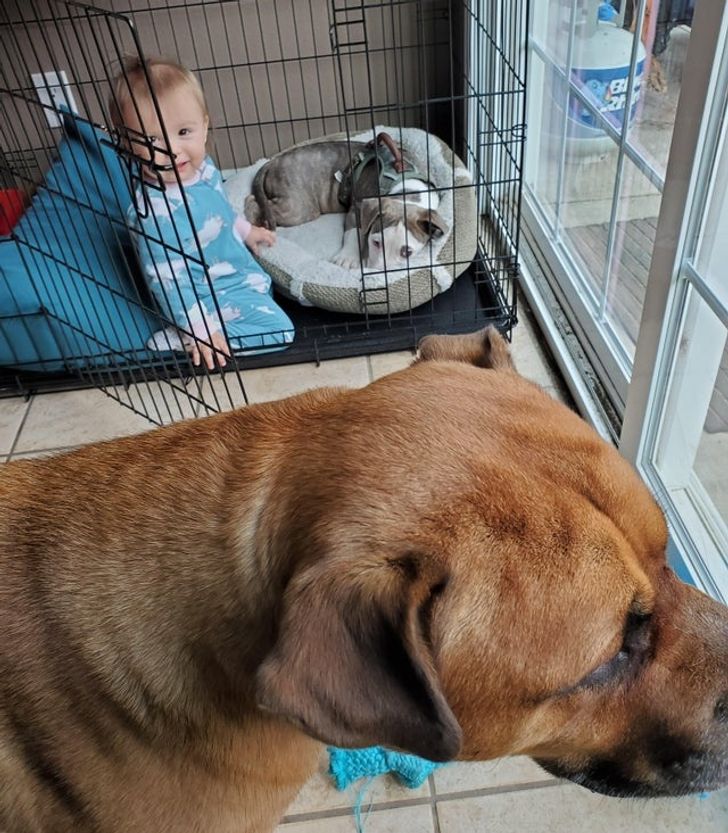 d46464555da5e015c94deda34a d46464555da5e015c94deda34a