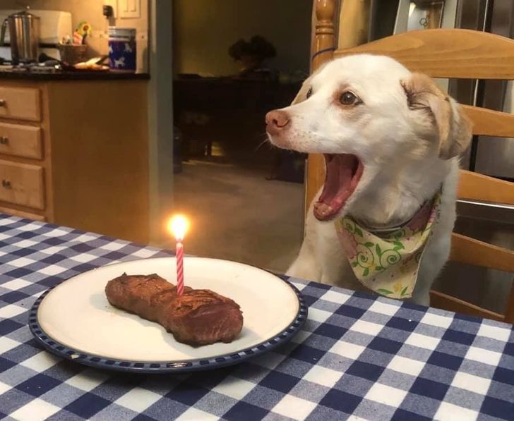 d464665374a968ad2e3b69ae09