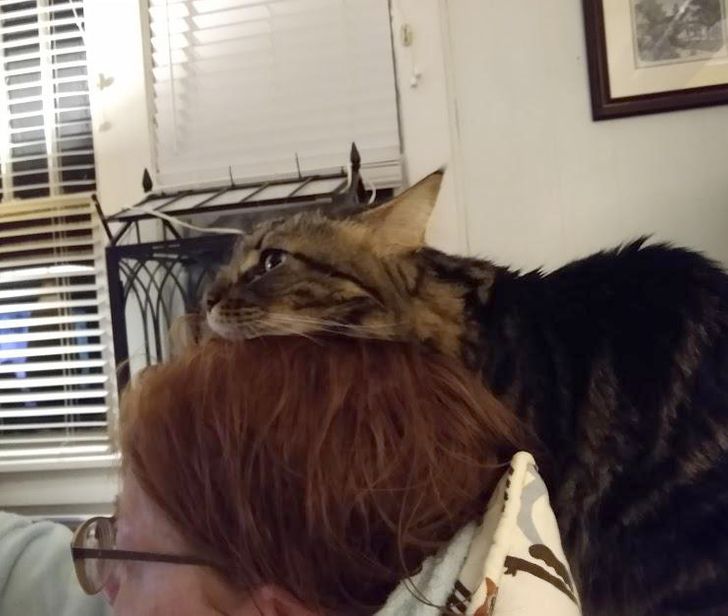 d468c7580e81c22d93b2d577d1