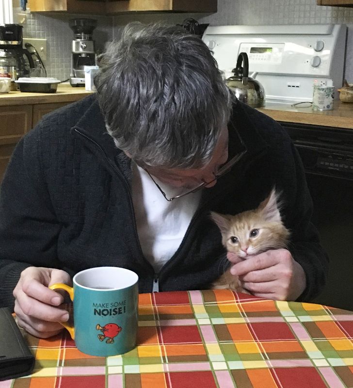 d46b3f5c66951290530c278156