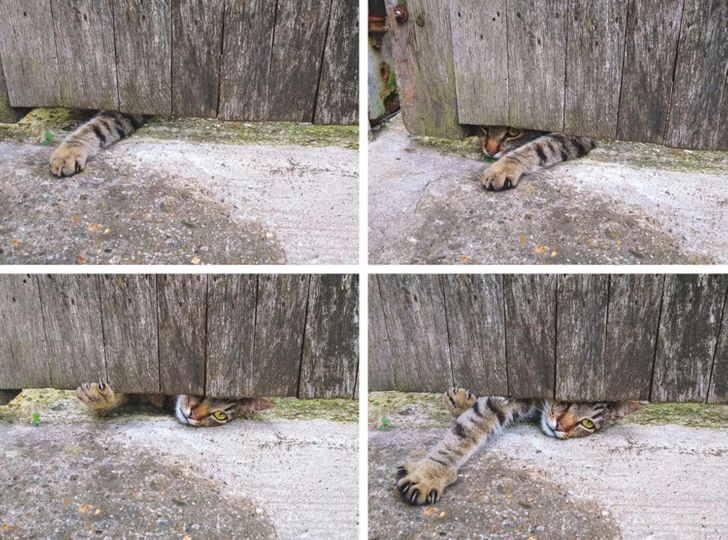 d46b725e4aa21dd3cb57fcd564 d46b725e4aa21dd3cb57fcd564