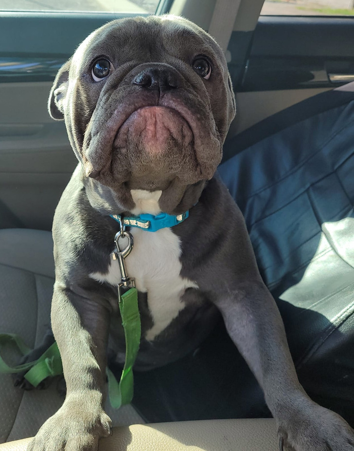 d46f025023b4869ef20e9577f6 d46f025023b4869ef20e9577f6