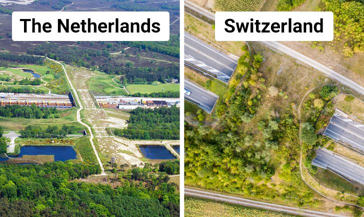 d4765d5340943758eca0fa06de