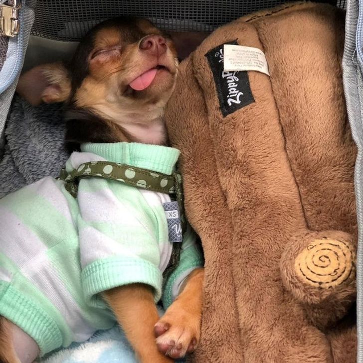 d47c8c5d2893ab415a77f2e759