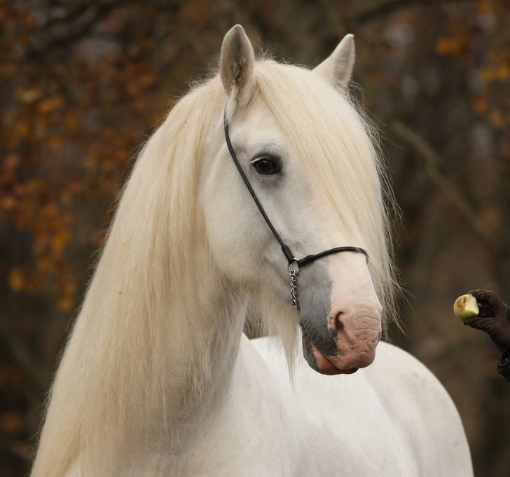 d4814759cf9bc5ccad4a0cc01c