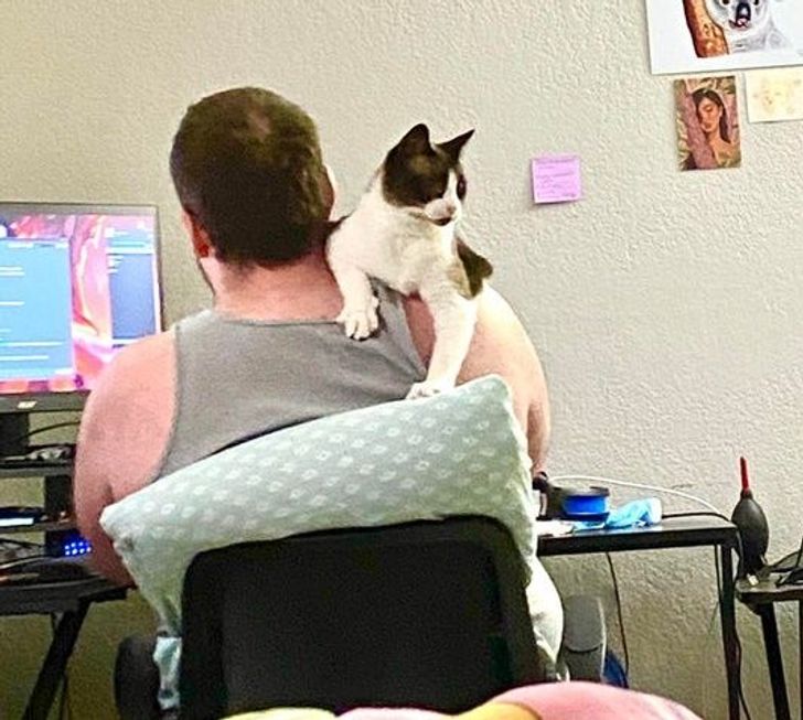 d481bf5e27bf1e263358dc4af8