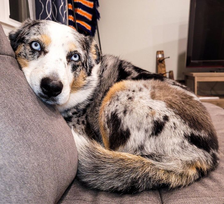 d487325917a769587cebb8cd17 d487325917a769587cebb8cd17