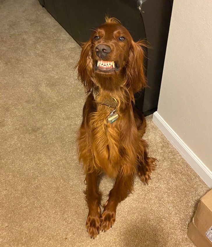 d488fe56f58020276c11afa69b