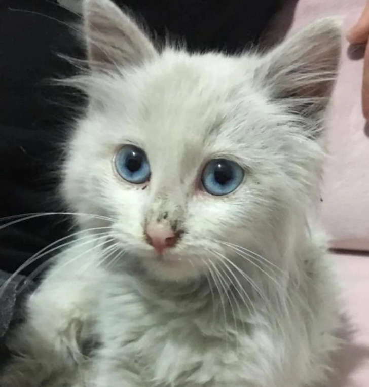 d48d0e5b22aae7e60017e5e806