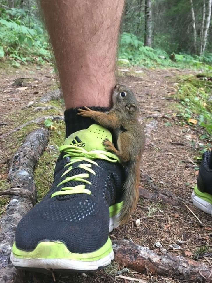 d48f625aae827036cb75bfab37