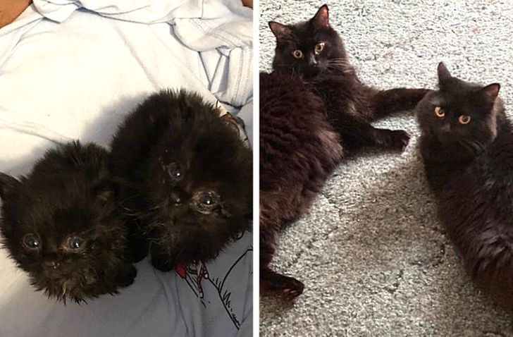 d49566559d892f2056e729929b