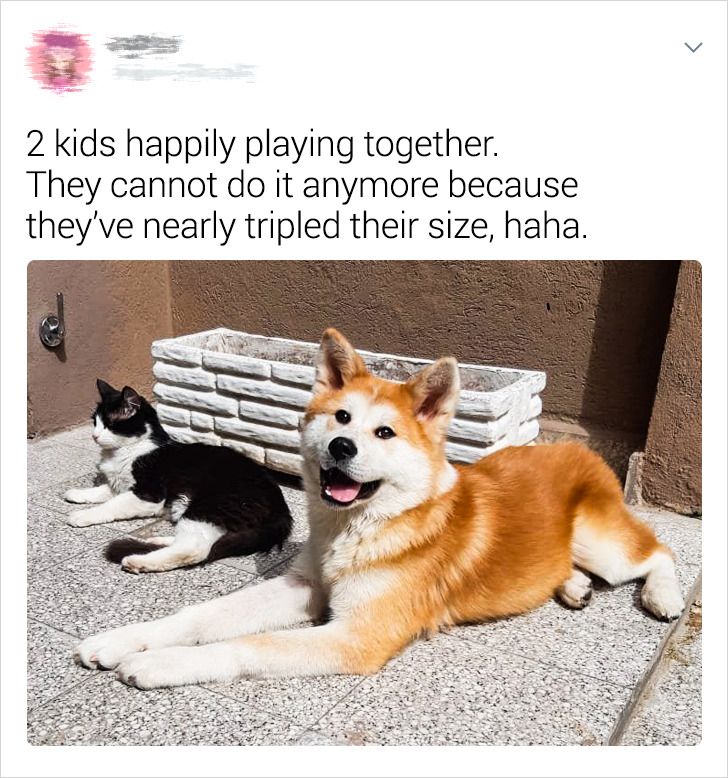 d496575ca4941aa11f38641a41