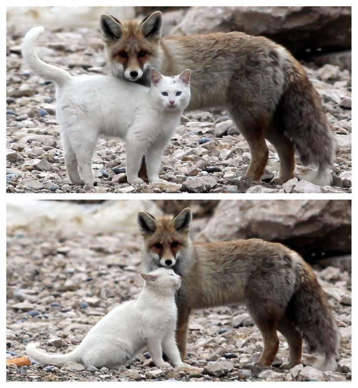 d49c3953a69edbdade77623b0a