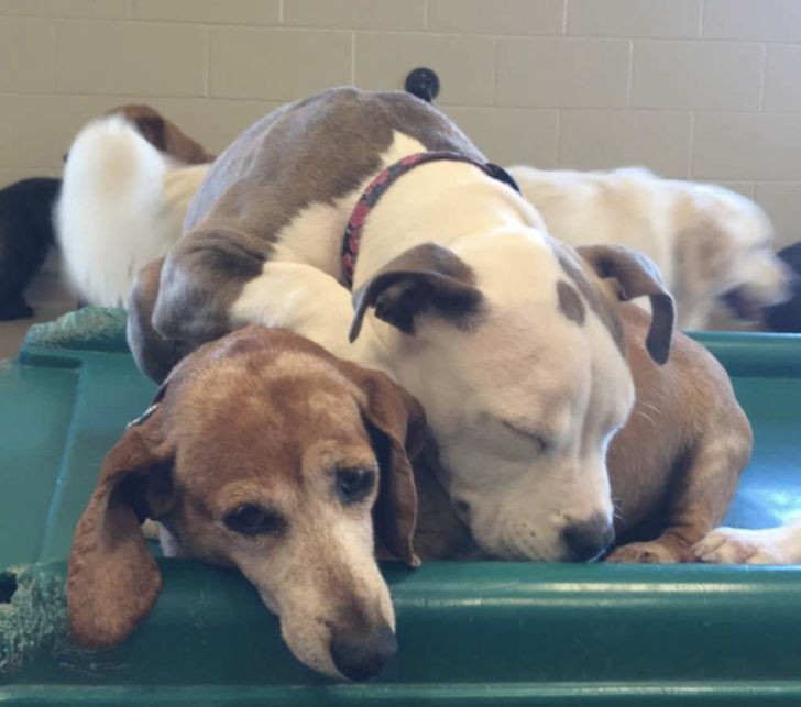 d49c5655399010214d3c71624f