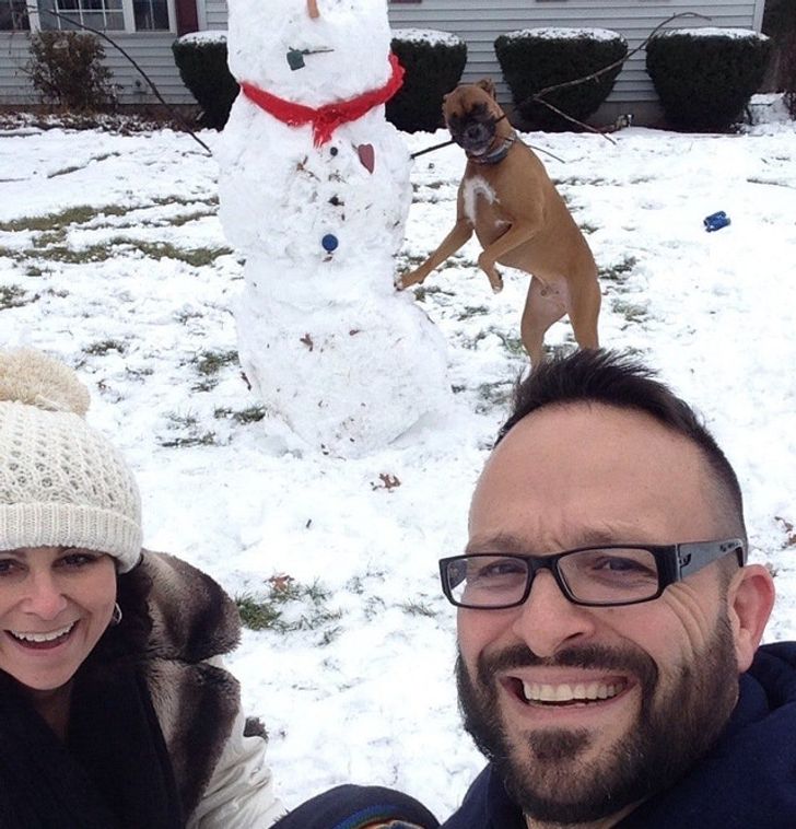 d49d395f0aaaaefde1933002e7