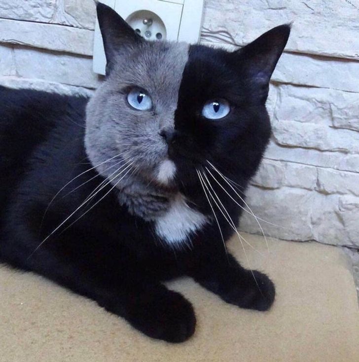 d4a0ab52c3a4f7424bea58cd6a