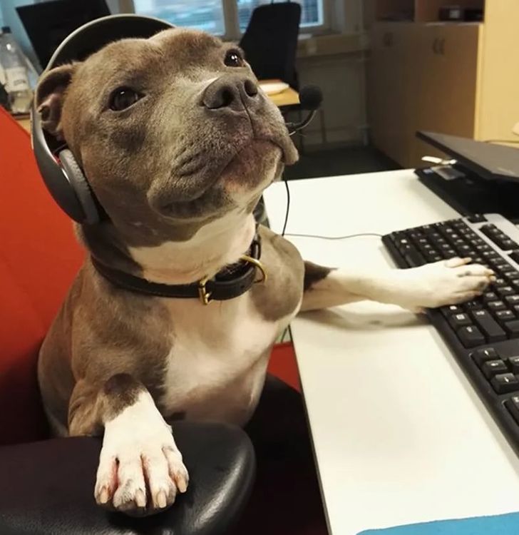 d4a83a5a55b51db74c855b7113