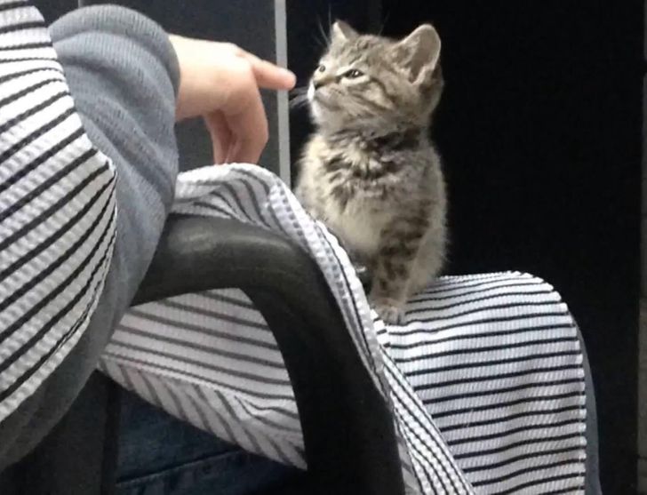 d4af105409bc7fd1afdb82bcda