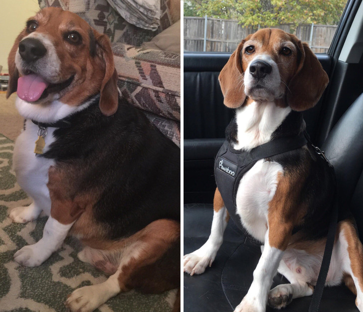 d4b26b5f70af8f04e04e6d8f11