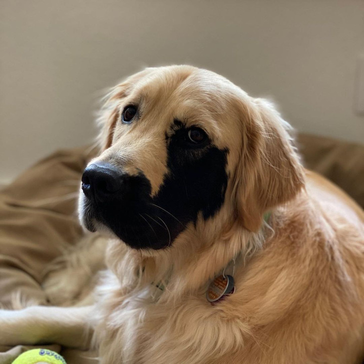 d4c5285c5c9bb98174f8915991 d4c5285c5c9bb98174f8915991