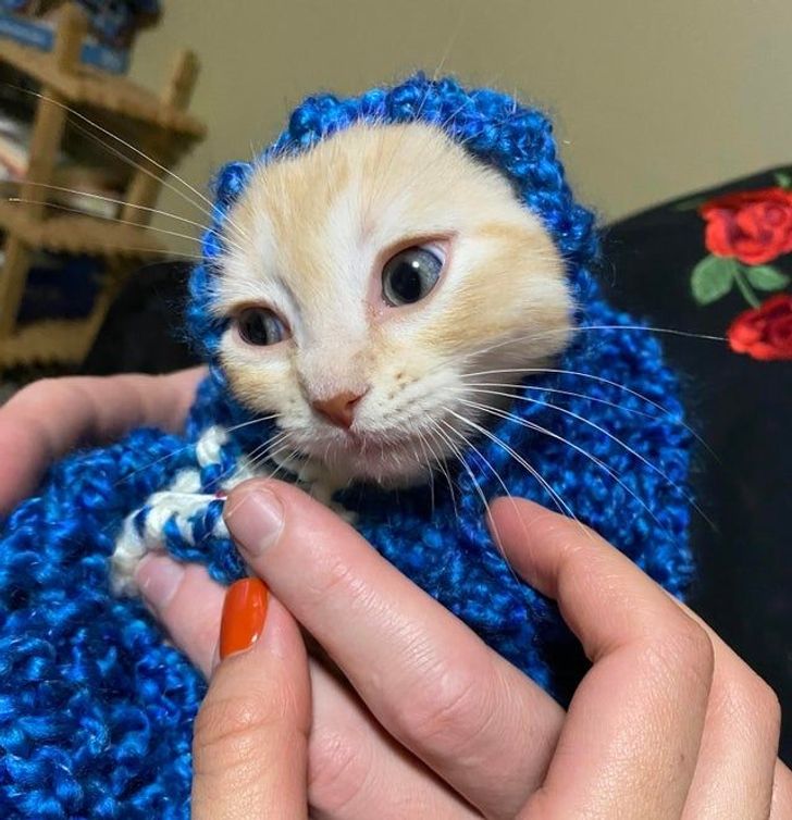 d4d4415383b3236147090ed018