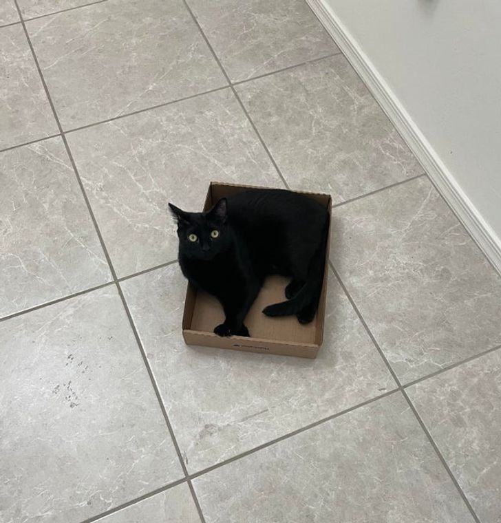 d4e0a7598fa983e7ff95e4d004