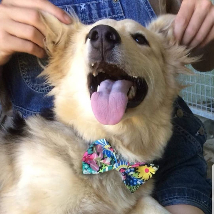 d4e10259f88b2f464a0543e121