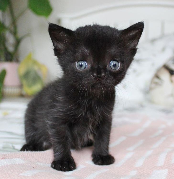 d4e1eb5ffa867dd21cc2d9639f