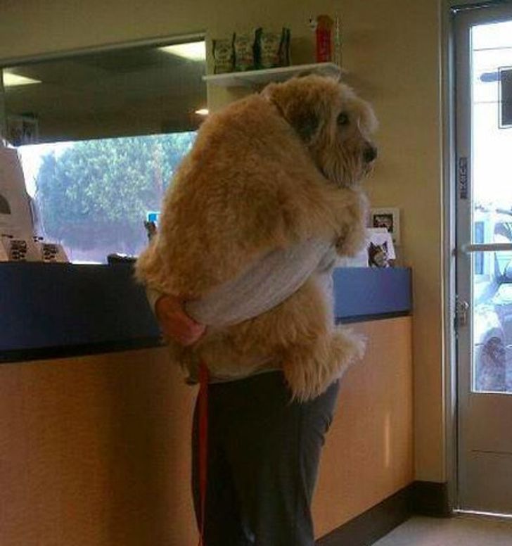 d4e26353118c0fcad1dd48030d