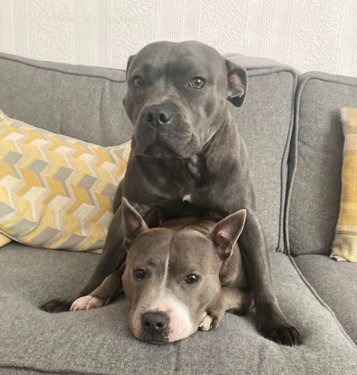 d4ead15bc7b4da703feb86f167 d4ead15bc7b4da703feb86f167