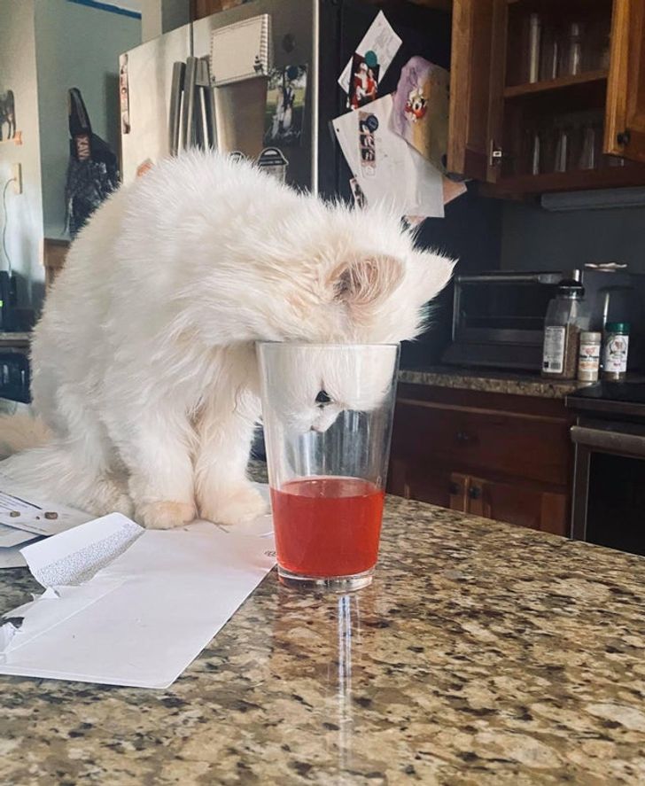 d4ef3556e69361267271fbb5a4