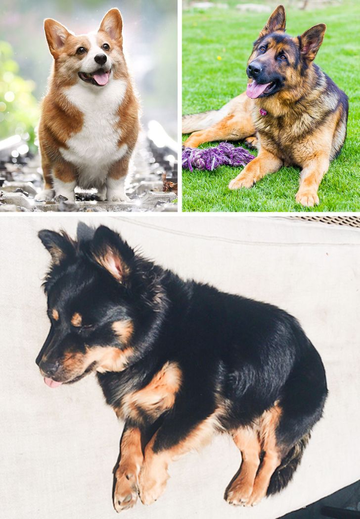 d4f3bc52bda61f4a5c656c2719