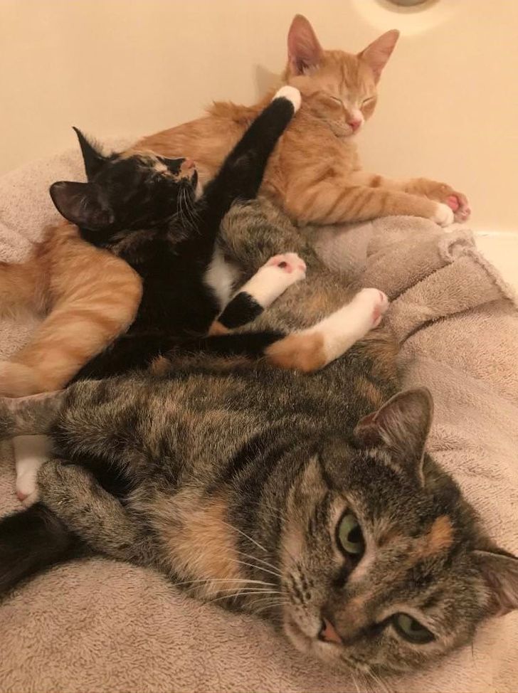 d4f51b5b2b92fc8cbf0be391b5