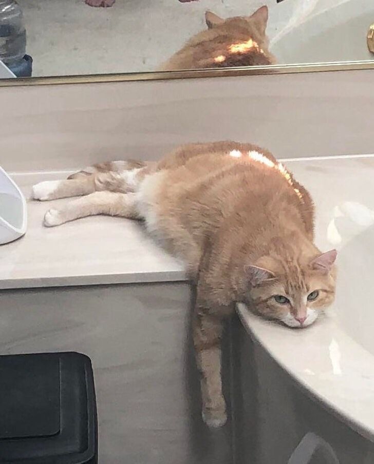 d4f82159fe91eaff6f82bb743b