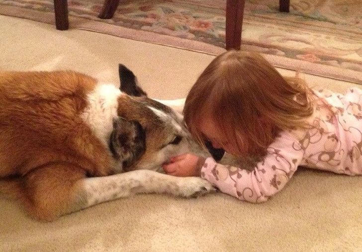 d4fef65837bd0c4028bcf5b272