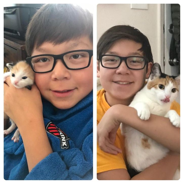 d5025258c2bba15515fcb80cf9