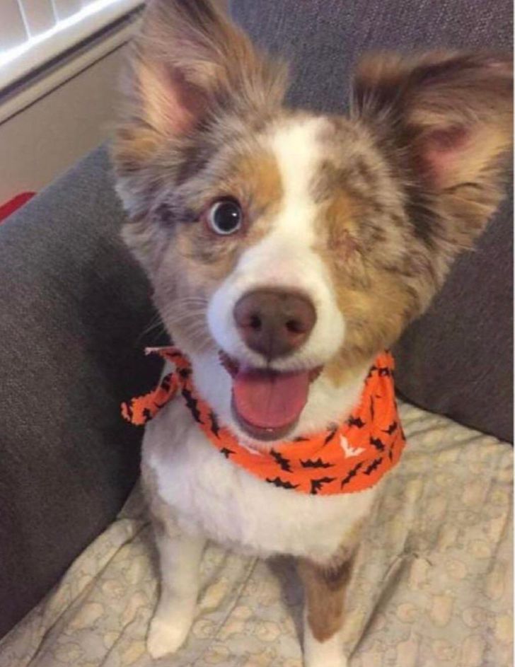 d506fa54a0930d5f28245cbb9f