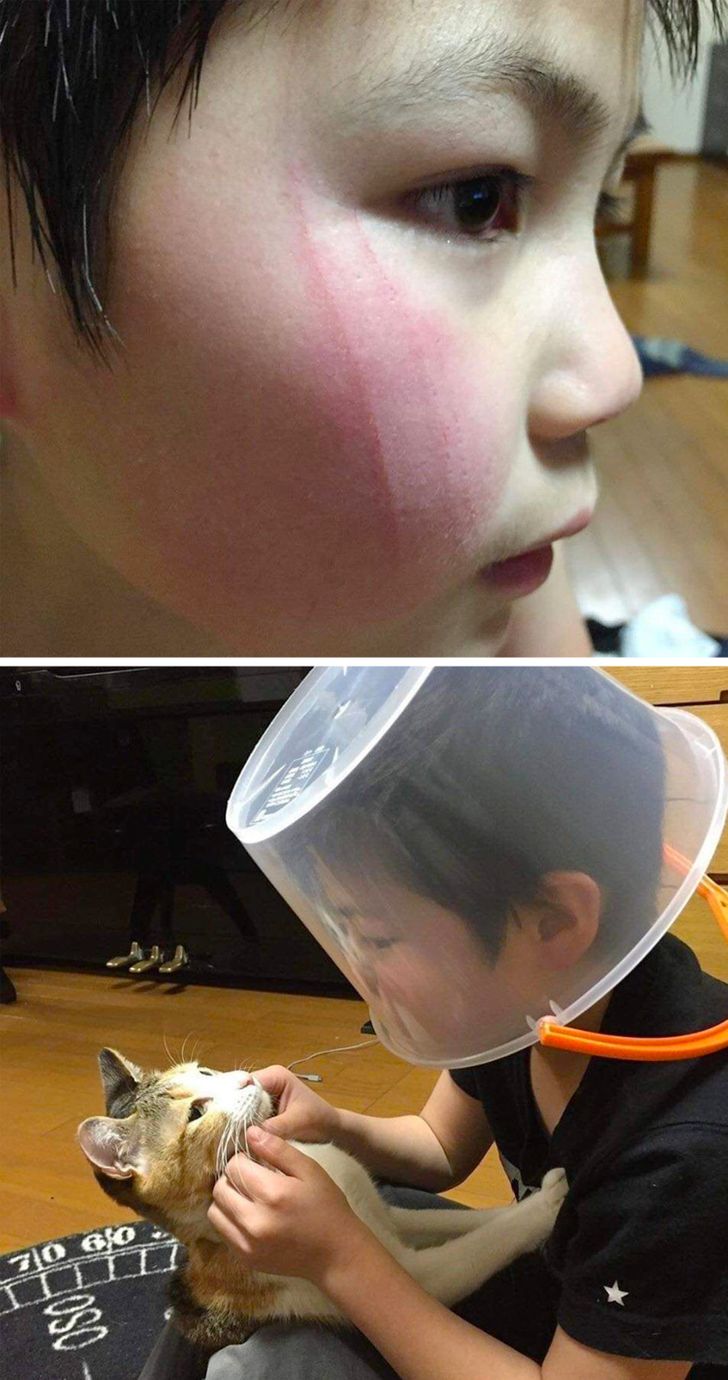 d507265db887f5a4776702aa29