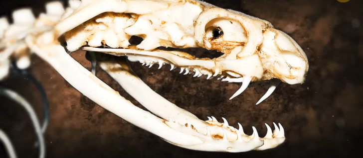 d51dce5be4b12b36639ad413f9