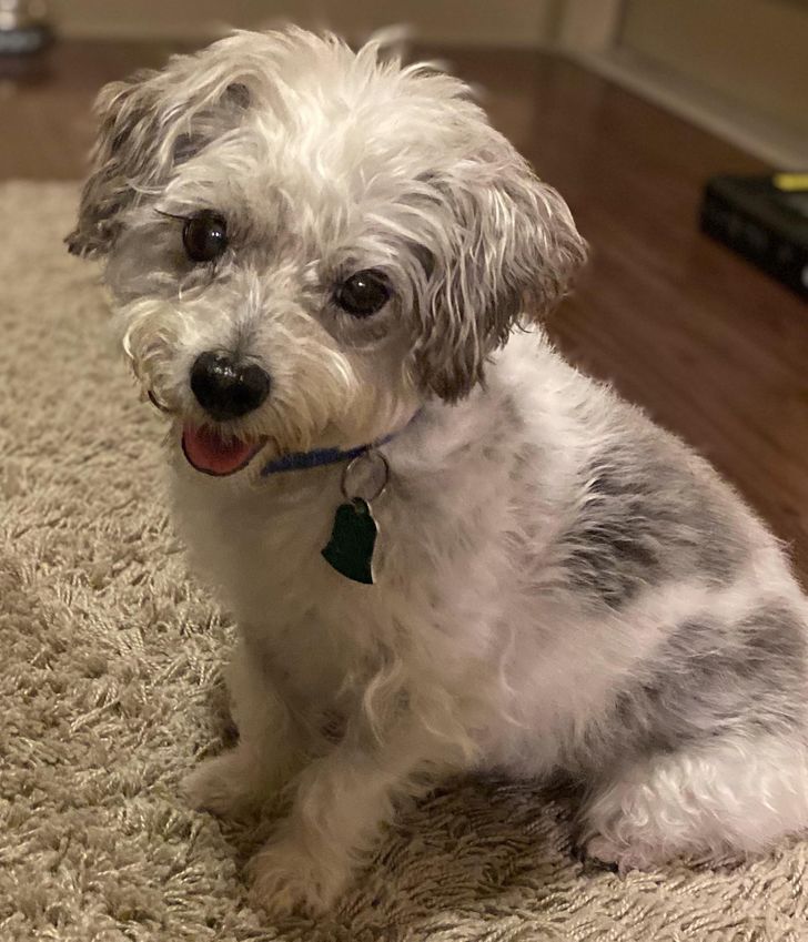 d520ce59ccabc07bf8c4362bc3